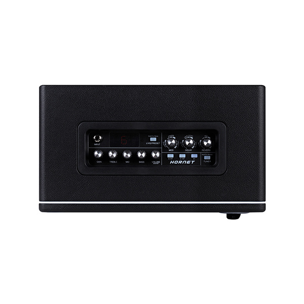 DH06-Hornet-30W-BK Комбоусилитель, 30Вт, Mooer