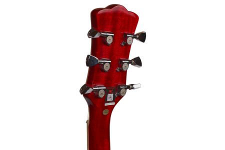 (TDN) BULLFIGHTER LP-100 OR электрогитара, цвет оранжевый чехол в комплекте