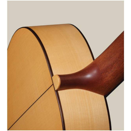 Torres+Case Гитара классическая 4/4, с чехлом, цвет натуральный, Altamira