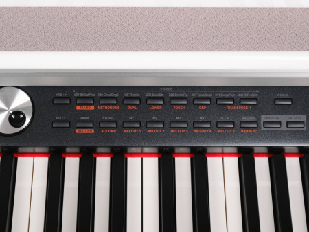 DP388-GW Цифровое пианино, белое глянцевое, Medeli (склад)