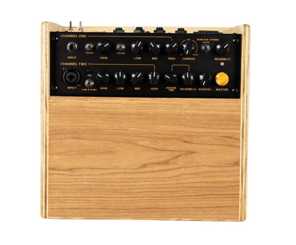 CONE-ASH C One Комбоусилитель для акустической гитары, 100Вт, ясень, Ortega