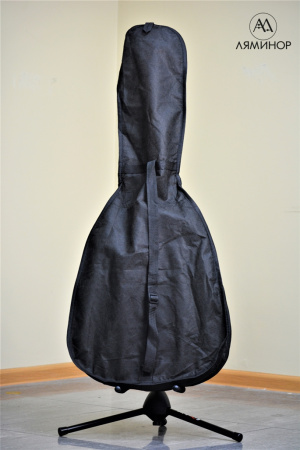 ЧГТ-1  Чехол для гитары транспортный, тонкий, неутепленный