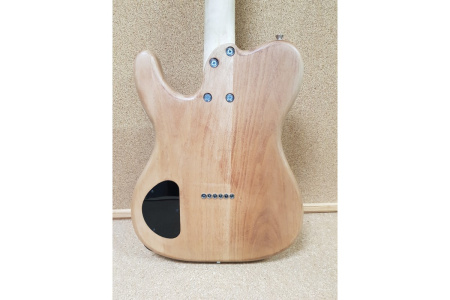 (TDN) Электрогитара Fro G Orion