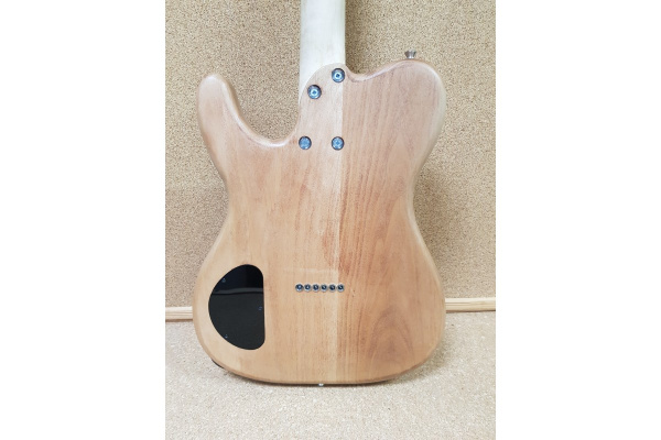 (TDN) Электрогитара Fro G Orion