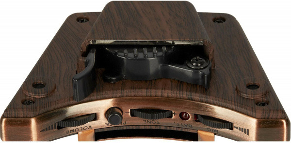 GGP-01 Звукосниматель для акустической гитары в резонаторное отверстие, Guitto