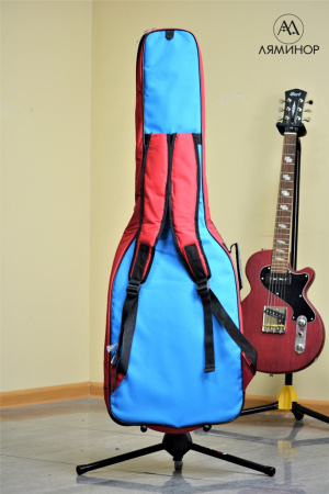 ЧГЭ3 Н Чехол для электрогитары, нестандартной формы, утепленный.