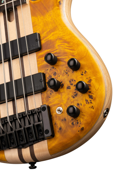 A5-Plus-SC-AOP Artisan Series Бас-гитара 5-струнная, цвет янтарь, с чехлом Cort
