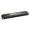 HH-2169 Master Edition Tremolo Губная гармошка тремоло, Cascha