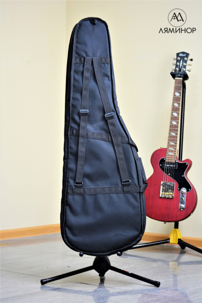 ЧГЭ4 Чехол для электрогитары, утепленный. SOLO