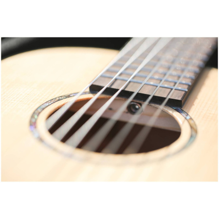 GUT850 гиталеле, строй ADGCEA, верхняя дека массив ели, корпус махагони, чехол в комплекте, FLIGHT 