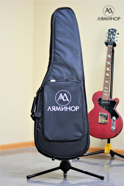 ЧГЭ4 Чехол для электрогитары, утепленный. SOLO
