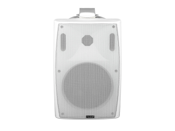 DS-561K Громкоговоритель настенный, 30Вт, TADS