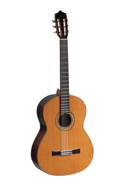Bass Special Series Классическая гитара, Martinez