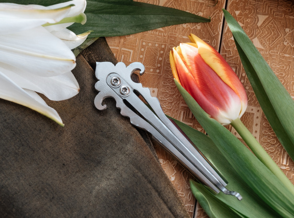 Тюльпан Варган, г. Казань. Твой Космос, Мастерская Ильдара Гимадиева